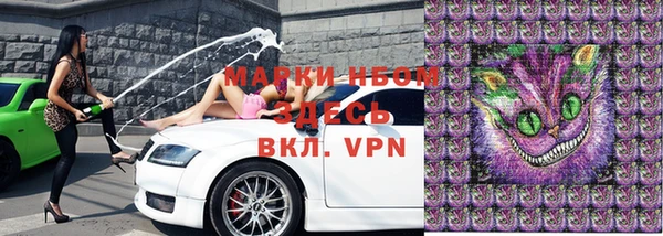 стаф Абинск