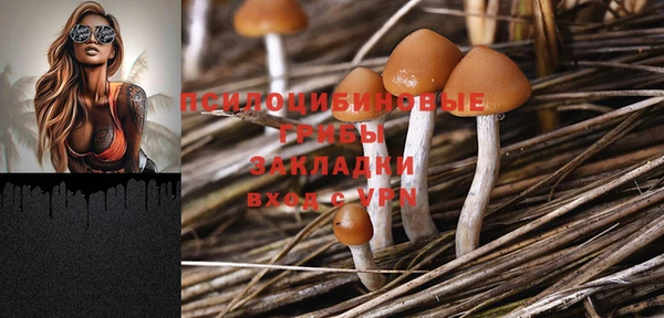 стаф Абинск