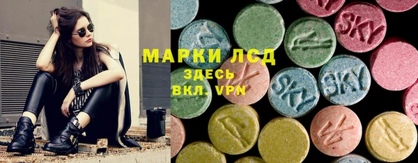 стаф Абинск