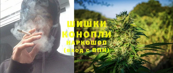 стаф Абинск