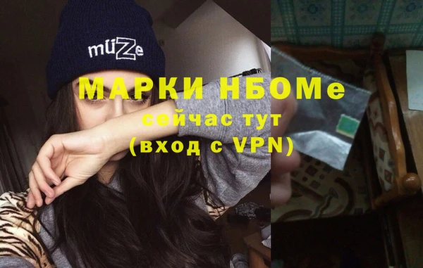 стаф Абинск